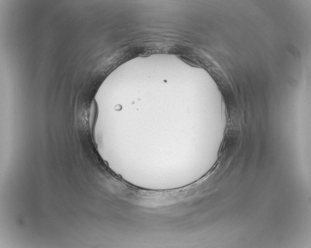 X0000115800045200912111218