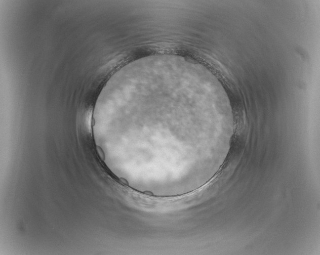 X0000115800047200912111218