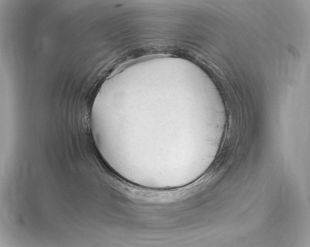 X0000115800048200912111218