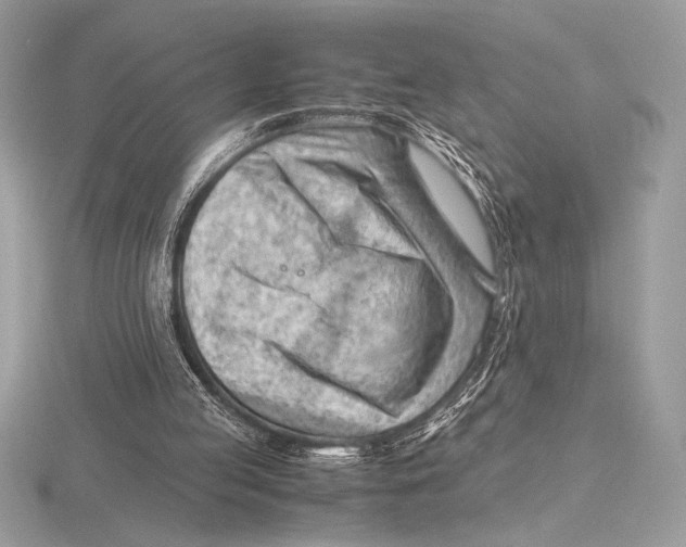 X0000115800053200912111218