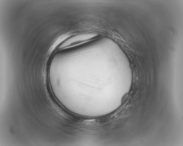 X0000115800054200912111218