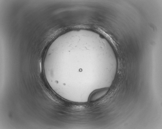 X0000115800061200912111218