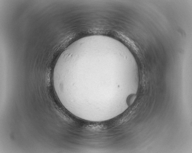 X0000115800065200912111218