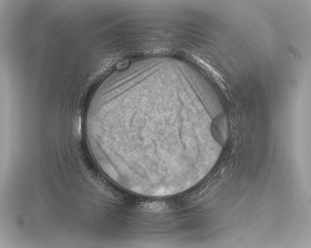 X0000115800067200912111218