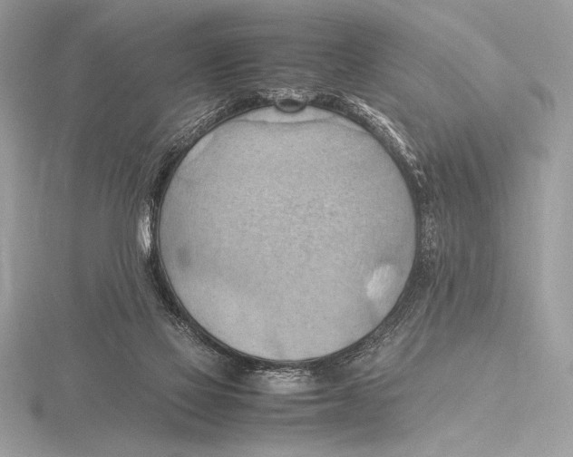 X0000115800069200912111218