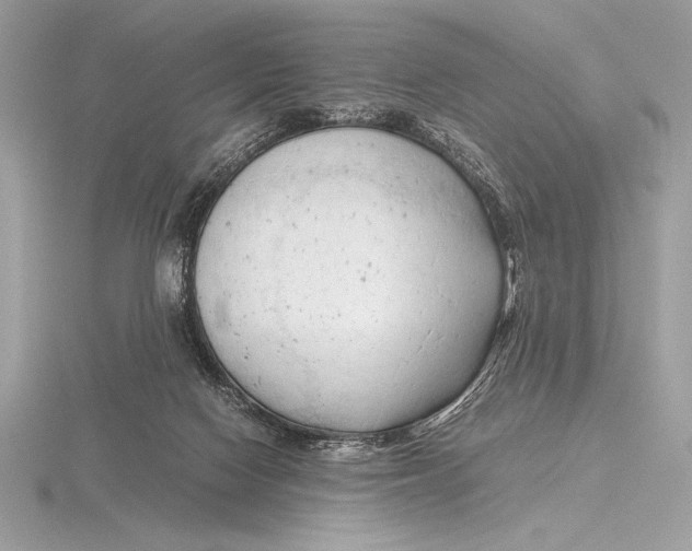 X0000115800074200912111218