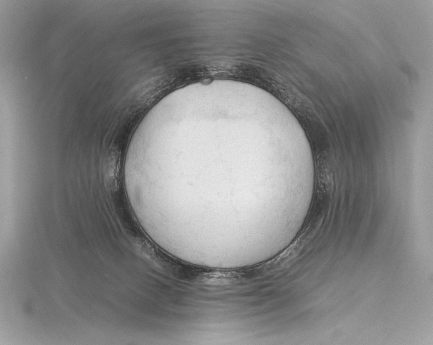 X0000115800082200912111218