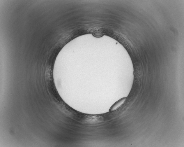 X0000115800083200912111218