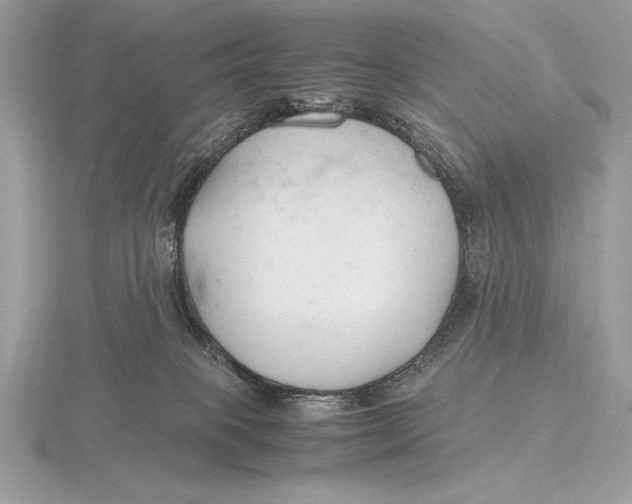 X0000115800085200912111218