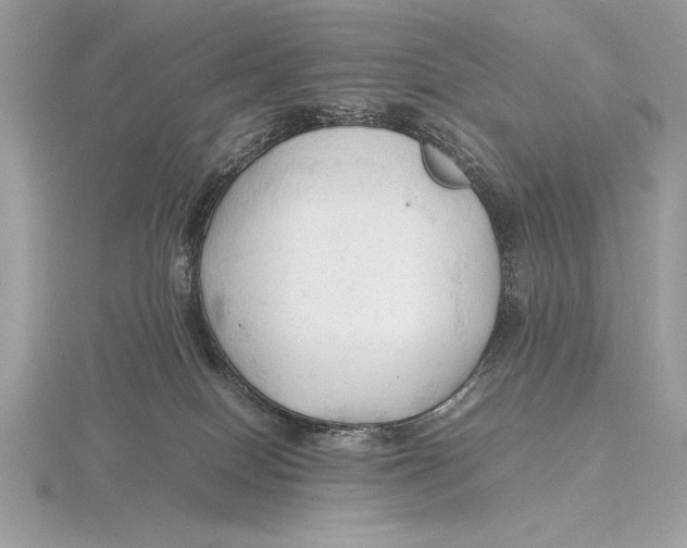 X0000115800086200912111218