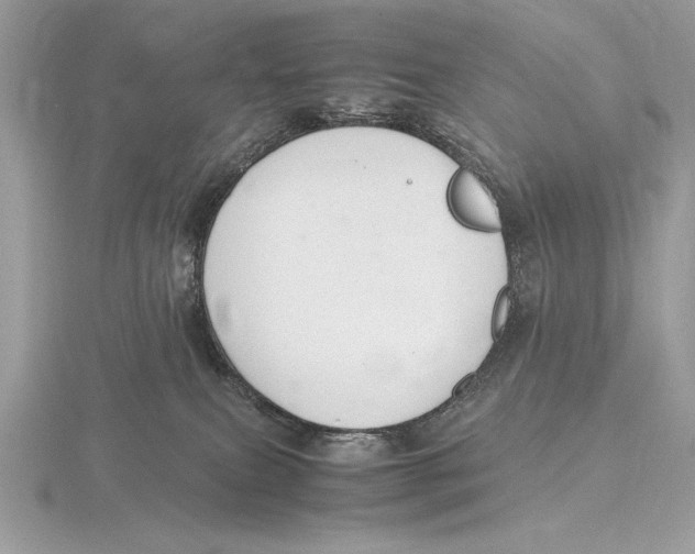 X0000115800087200912111218