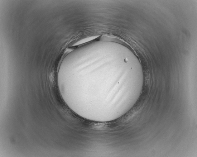 X0000115800088200912111218