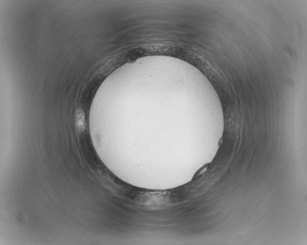 X0000115800089200912111218