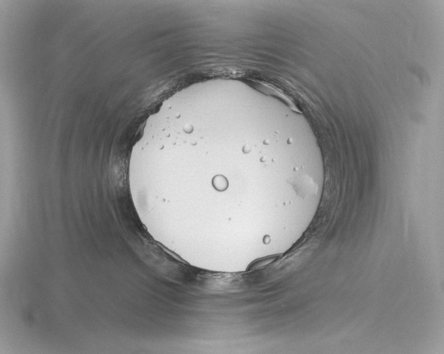 X0000115800096200912111218