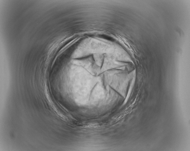 X0000115800097200912111217