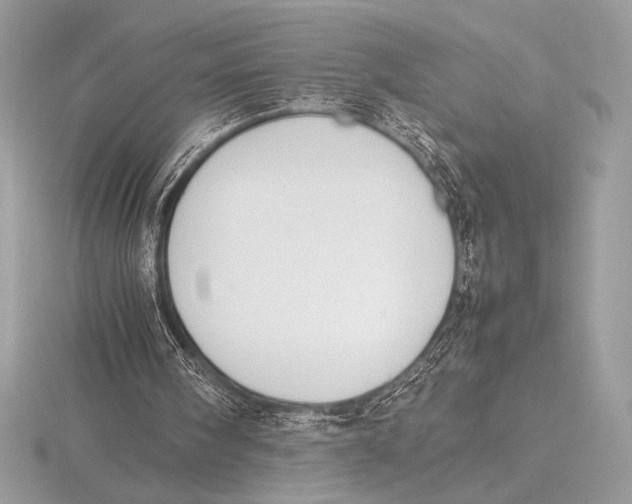 X0000115800098200912111217