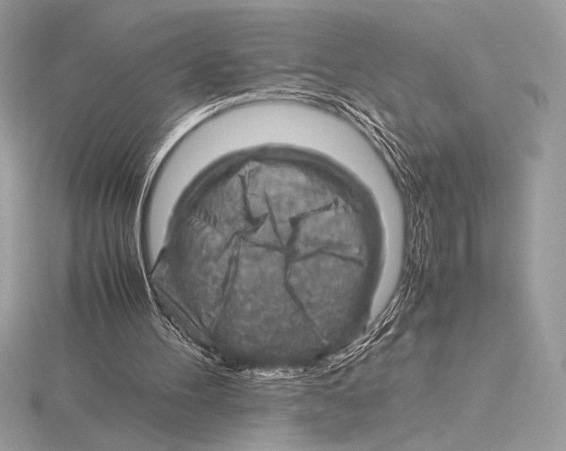 X0000115800100200912111217