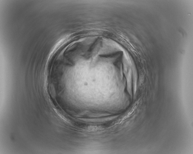 X0000115800101200912111217