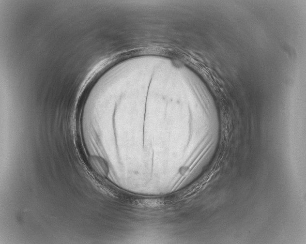 X0000115800102200912111217