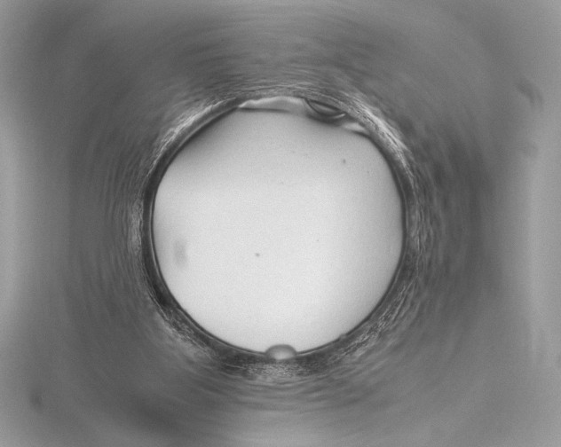 X0000115800107200912111217