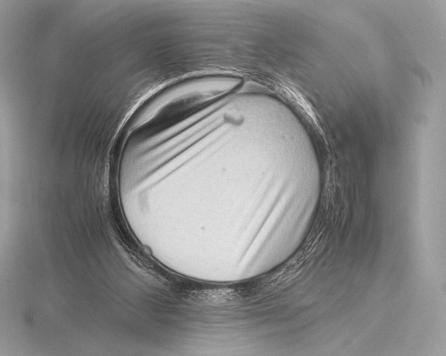 X0000115800108200912111217