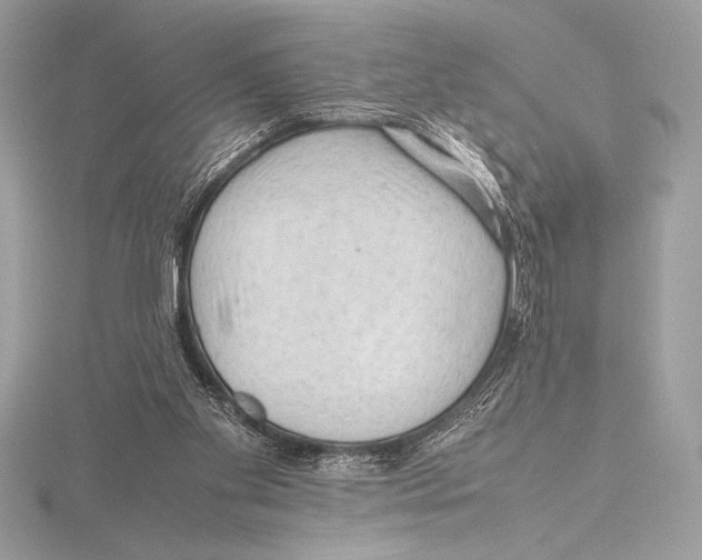 X0000115800109200912111217