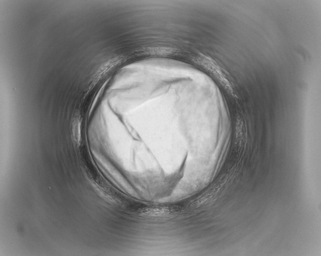 X0000115800110200912111217