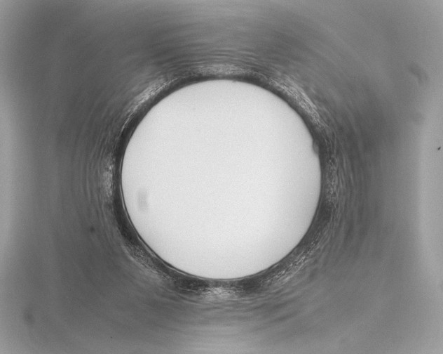 X0000115800111200912111217