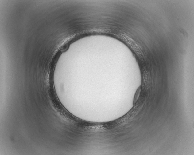 X0000115800112200912111217