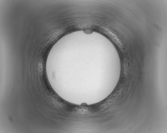 X0000115800113200912111217