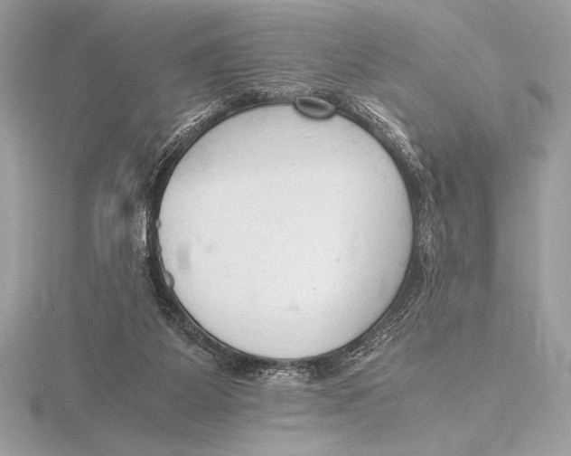 X0000115800115200912111217