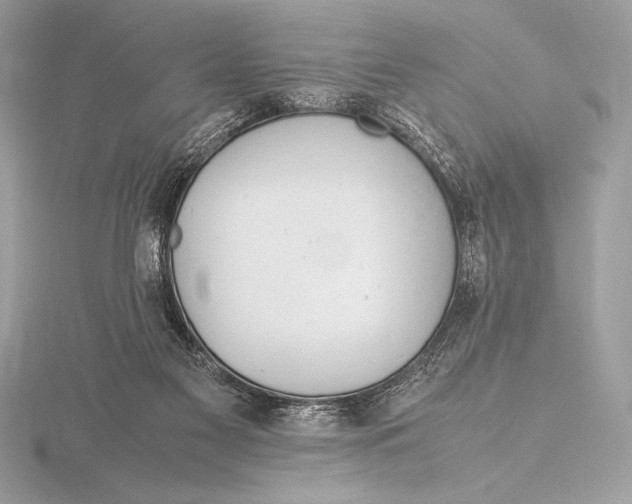 X0000115800117200912111217