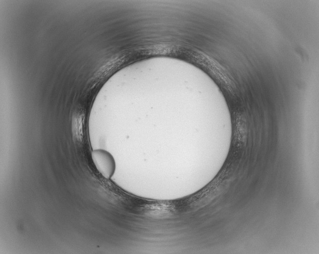 X0000115800118200912111217