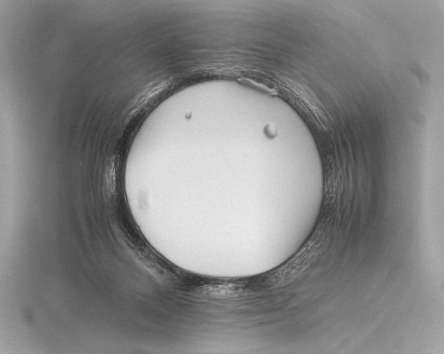 X0000115800120200912111217