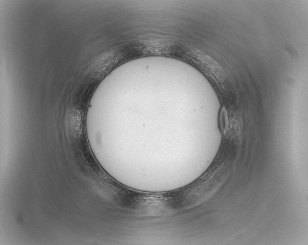 X0000115800121200912111217