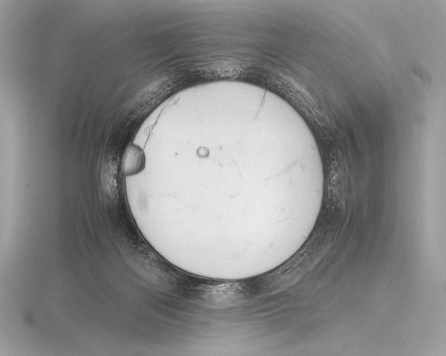 X0000115800122200912111217