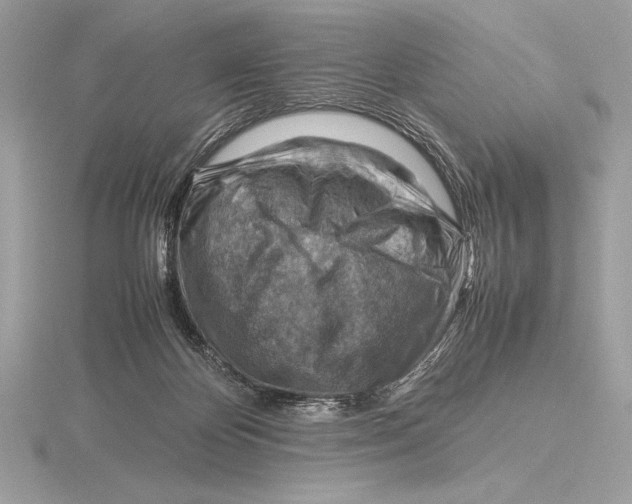 X0000115800124200912111217