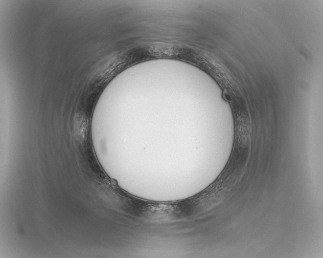 X0000115800125200912111217