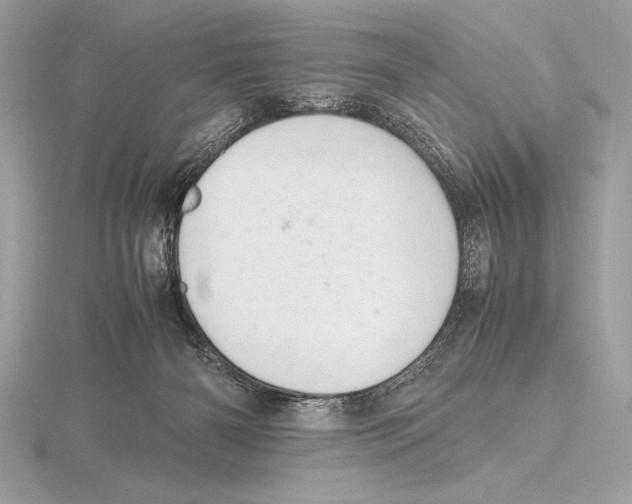 X0000115800126200912111217