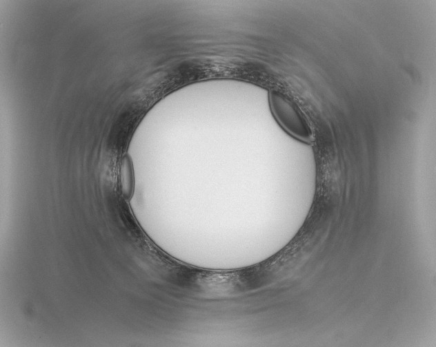 X0000115800129200912111217