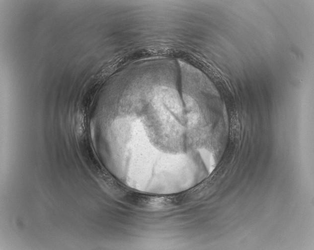 X0000115800130200912111217