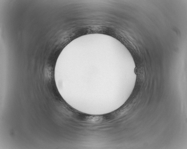 X0000115800135200912111217