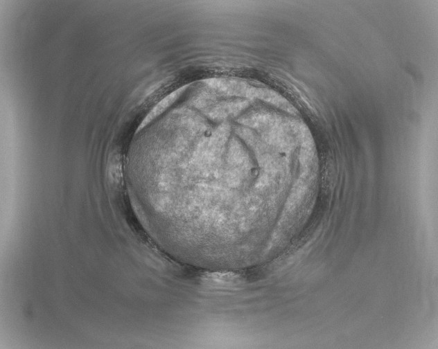 X0000115800137200912111217