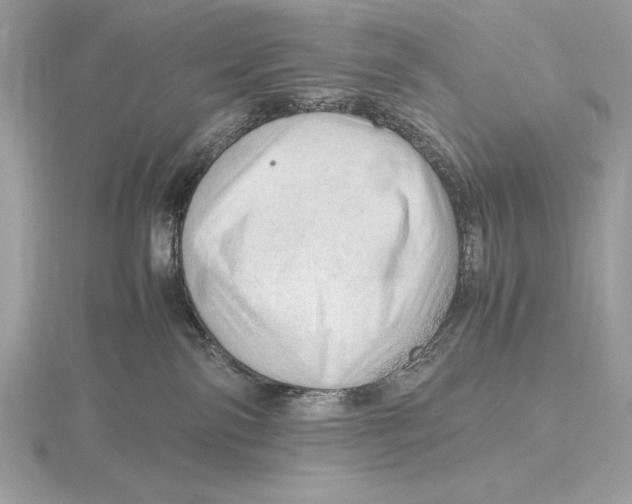 X0000115800138200912111217