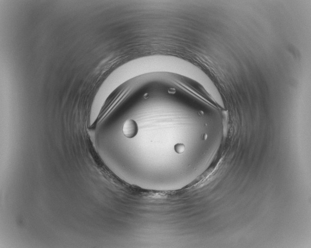 X0000115800140200912111217