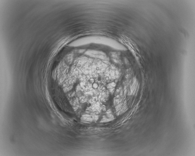 X0000115800145200912111216