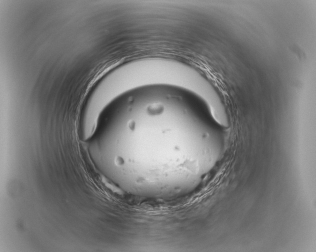 X0000115800146200912111216