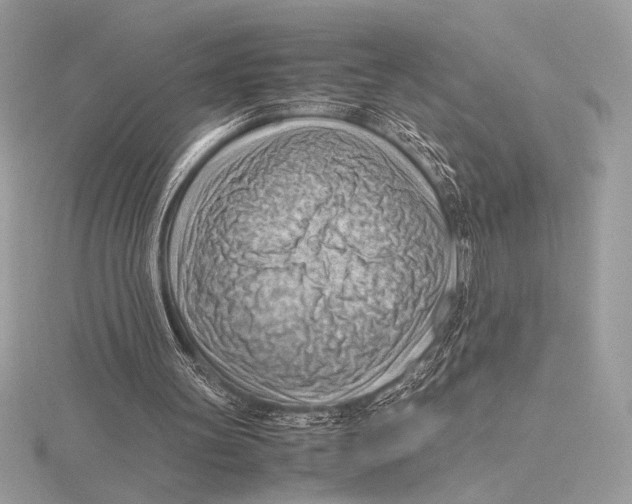 X0000115800147200912111216