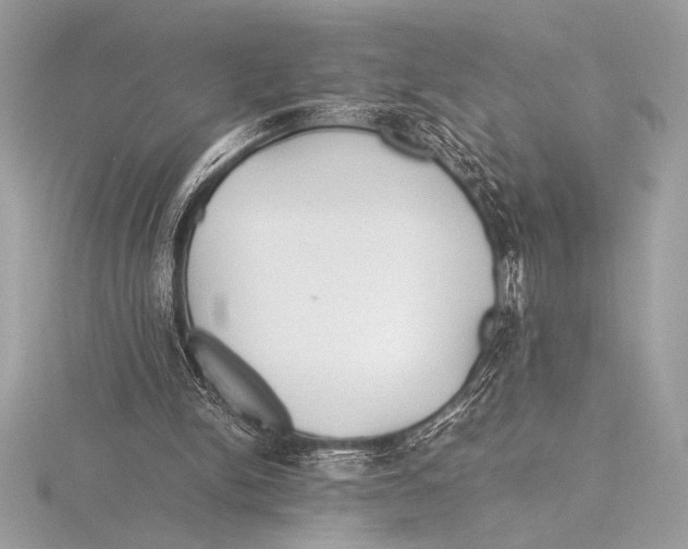 X0000115800150200912111216