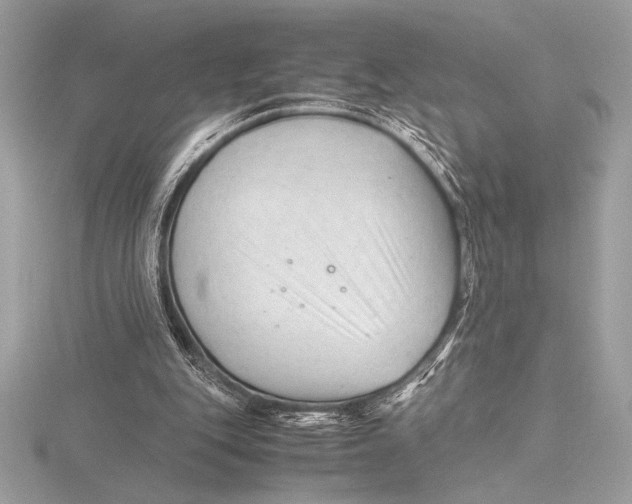 X0000115800151200912111216